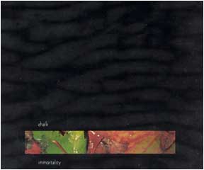 Iris, Burlesque and Immortality by Chalk