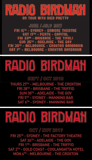 Radio Birdman The Vintage with Dates T-Shirt Design
